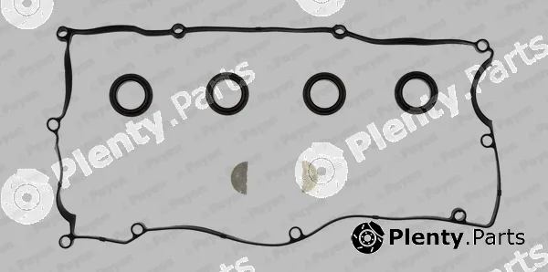 Payen HM5374 — Gasket Set, cylinder head cover