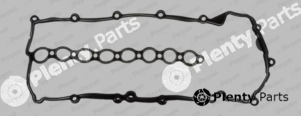 Payen JM5076 — Gasket, cylinder head cover