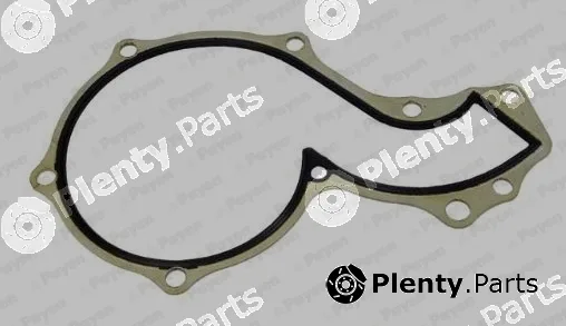 Payen KA5020 — Gasket, water pump