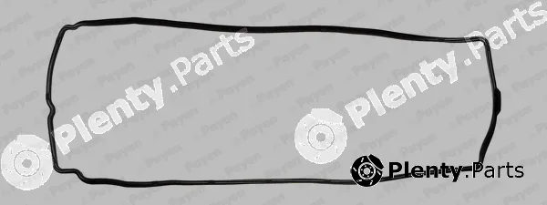 Payen JM5298 — Gasket, cylinder head cover