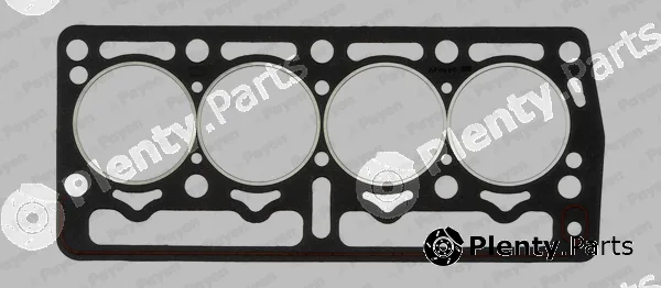 Payen BT260 — Gasket, cylinder head