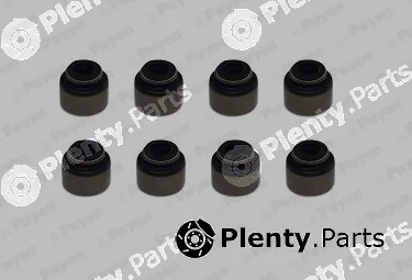 Payen HR5134 — Seal Set, valve stem