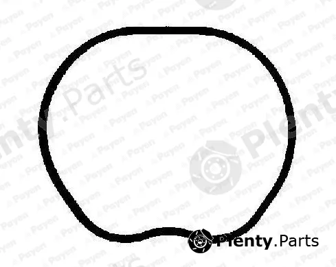 Payen JD6166 — Gasket, intake manifold