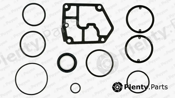 Payen EF5380 — Gasket Kit, crankcase