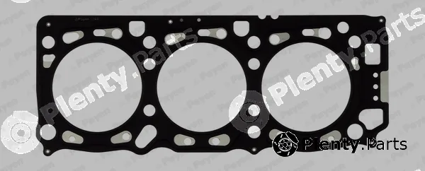 Payen BV010 — Gasket, cylinder head