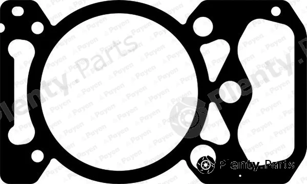 Payen BW390 — Gasket, cylinder head