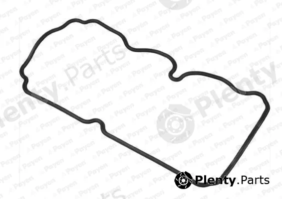 Payen JM5263 — Gasket, cylinder head cover