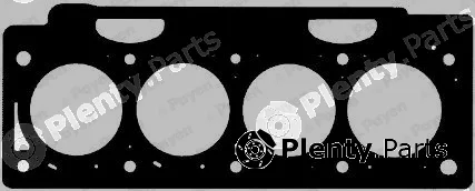 Payen AC5062 — Gasket, cylinder head