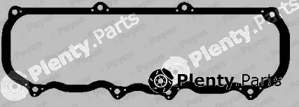 Payen JN662 — Gasket, cylinder head cover
