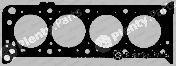 Payen BL620 — Gasket, cylinder head
