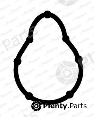 Payen JD6173 — Gasket, intake manifold