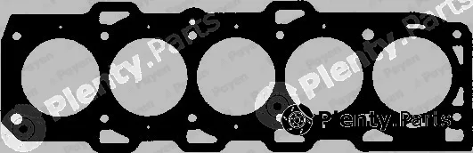 Payen BW321 — Gasket, cylinder head