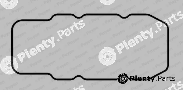 Payen JM053 — Gasket, cylinder head cover