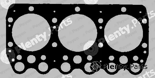 Payen BY401 — Gasket, cylinder head