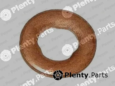 Payen KG5339 — Heat Shield, injection system