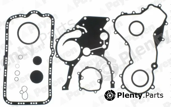 Payen EE5220 — Gasket Kit, crankcase