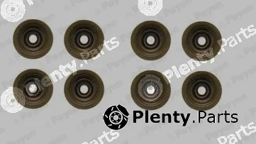 Payen HR5051 — Seal Set, valve stem