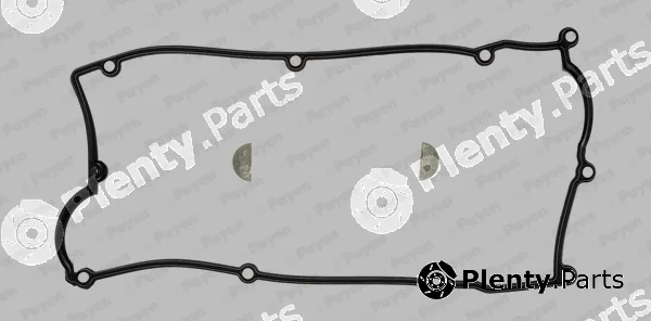 Payen HM5261 — Gasket Set, cylinder head cover