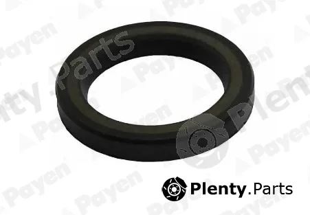 Payen NA5506 — Shaft Seal, crankshaft