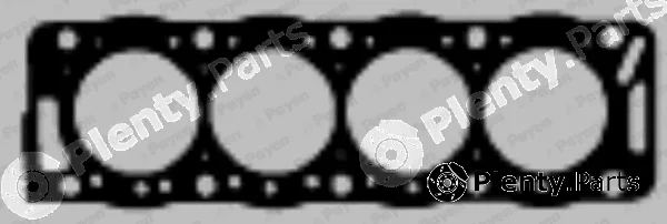 Payen BX900 — Gasket, cylinder head