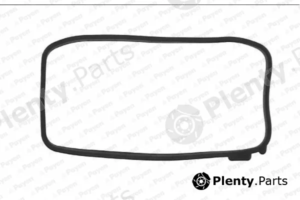 Payen JN663 — Gasket, cylinder head cover