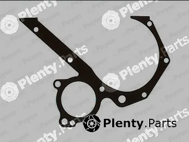Payen JR265 — Gasket, timing case