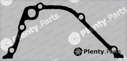 Payen JR5053 — Gasket, timing case