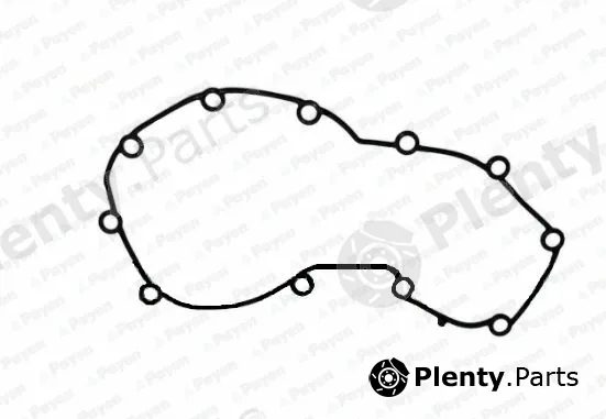 Payen JR5052 — Gasket, timing case cover