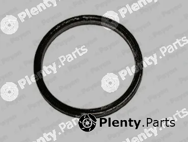 Payen JE017 — Gasket, exhaust pipe