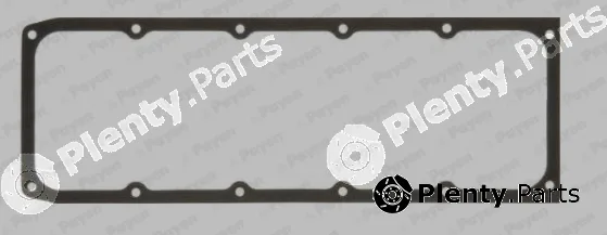 Payen JN459 — Gasket, cylinder head cover