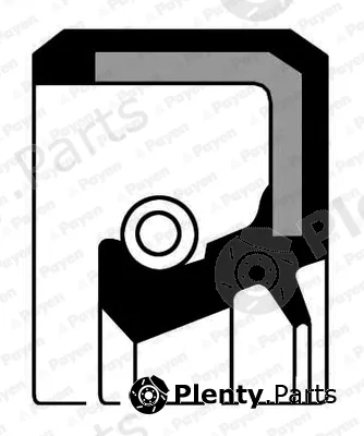 Payen NJ006 — Shaft Seal, crankshaft