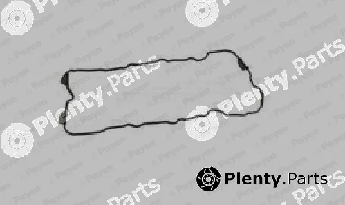 Payen JN880 — Gasket, cylinder head cover
