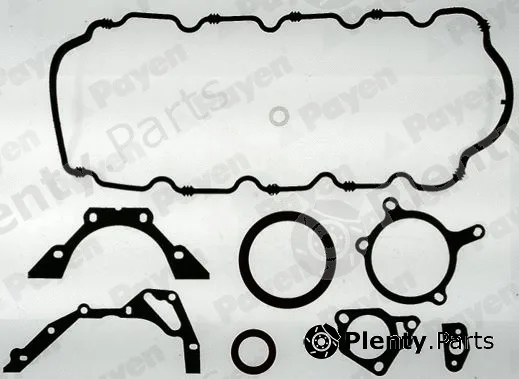 Payen EW630 — Gasket Kit, crankcase