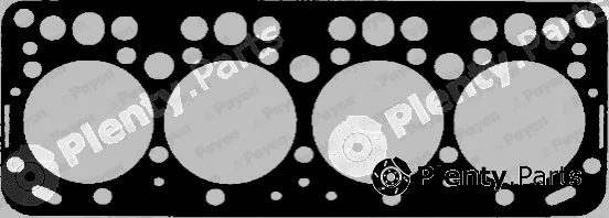 Payen BS311 — Gasket, cylinder head