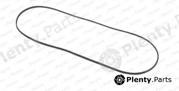 Payen JN707 — Gasket, cylinder head cover