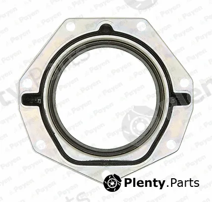 Payen NF886 — Shaft Seal, crankshaft