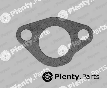 Payen KS617 — Seal, thermostat