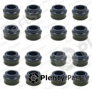 Payen HR5053 — Seal Set, valve stem