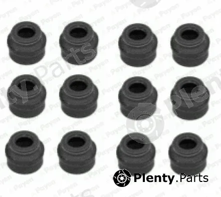 Payen HR662 — Seal Set, valve stem
