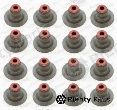 Payen HR5087 — Seal Set, valve stem