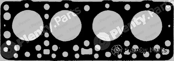 Payen BM290 — Gasket, cylinder head