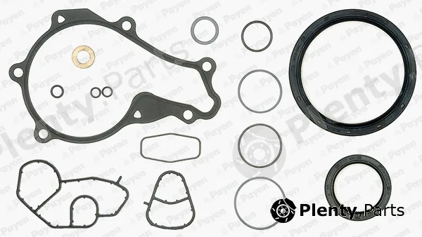 Payen ED5130 — Gasket Kit, crankcase