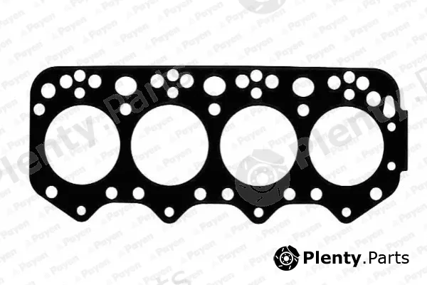 Payen BP560 — Gasket, cylinder head