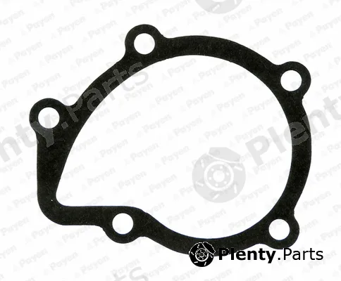Payen KA611 — Gasket, water pump