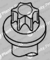 Payen HBS544 — Cylinder Head Bolt Set