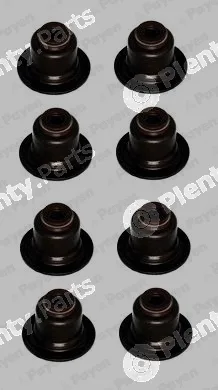 Payen HR809 — Seal Set, valve stem