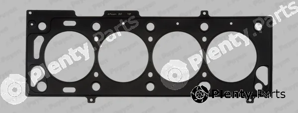 Payen AB5400 — Gasket, cylinder head