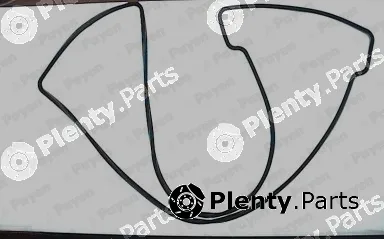 Payen JN539 — Gasket, cylinder head cover