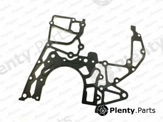 Payen JR5022 — Gasket, timing case cover