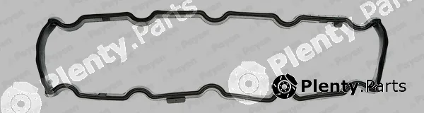 Payen JN544 — Gasket, cylinder head cover
